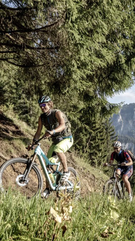 Mountainbike1